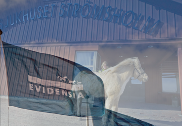 Persona på djursjukhus