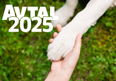 Bild avtal 2025 djurvård