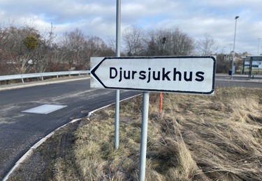 Vägskylt med texten Djursjukhus
