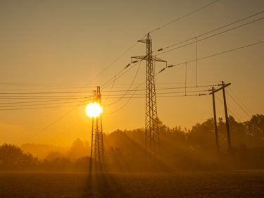 Elledningar i solnedgång