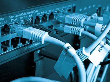 Lan-kablar i närbild.