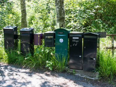 En rad olikfärgade brevlådor på landet uppsatt på ett staket, i bakgrunden grönska.